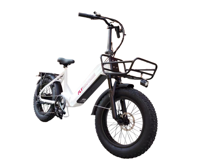 Flybrother Fat Tire E-Bike