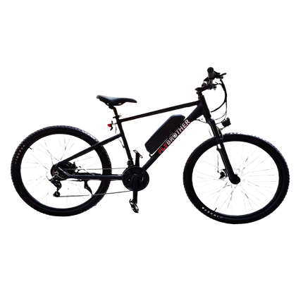 Flybrother MTB 301 E-Bike