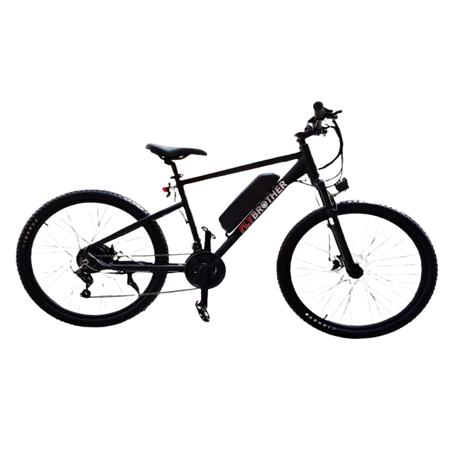 Flybrother MTB 301 E-Bike